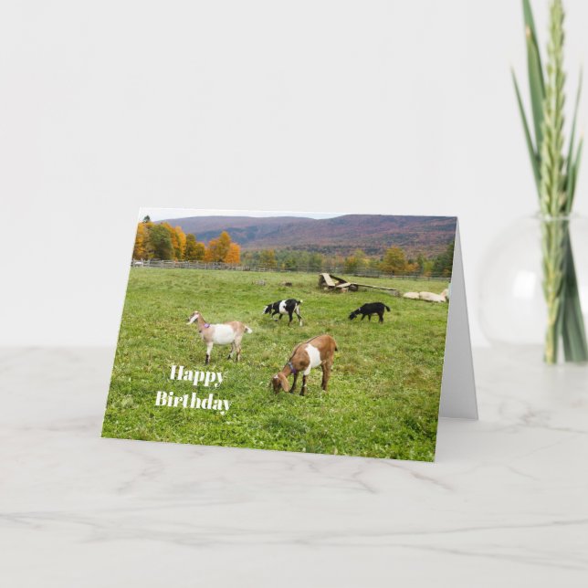 Carte Animaux Pasture de chèvres Vermont Photo Anniversa (Devant)