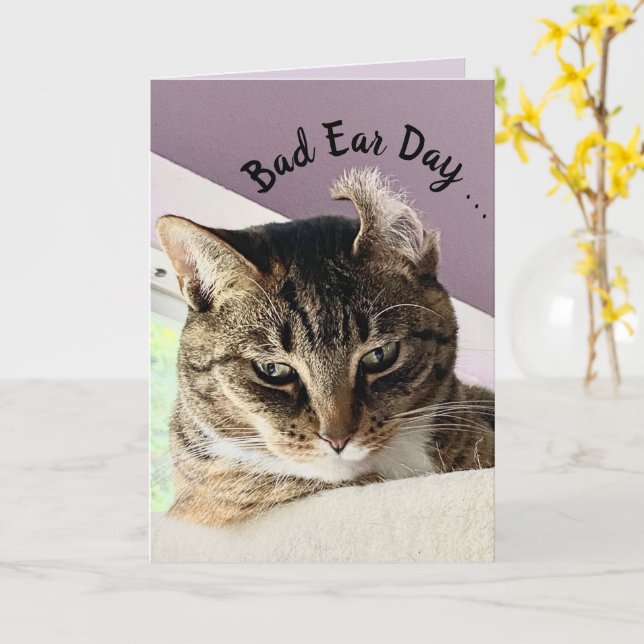 Carte Annie's Bad Ear Day (Cat Greeting Card) (Fleur jaune)
