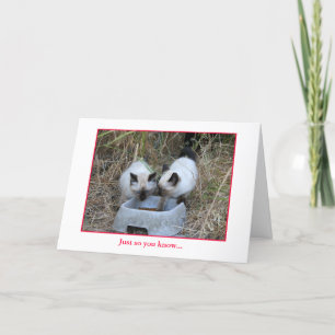 Carte Anniversaire