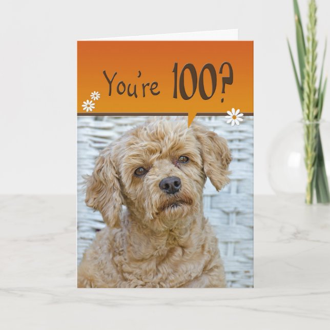 Carte Anniversaire 100 ans (Devant)