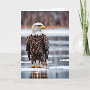 Carte Anniversaire Aigle Balle Sur Glace