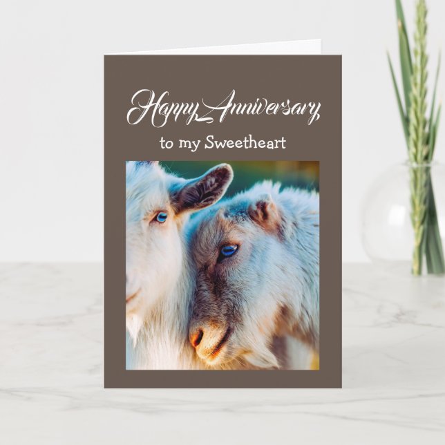 Carte Anniversaire Amoureux de la vieille chèvre vous ai (Devant)