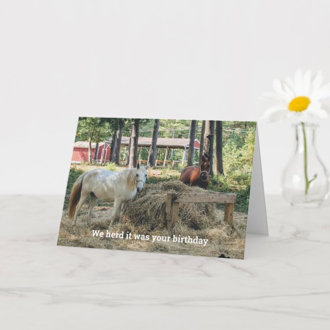 Carte Anniversaire amusant de l'amoureux du cheval (Petite plante)