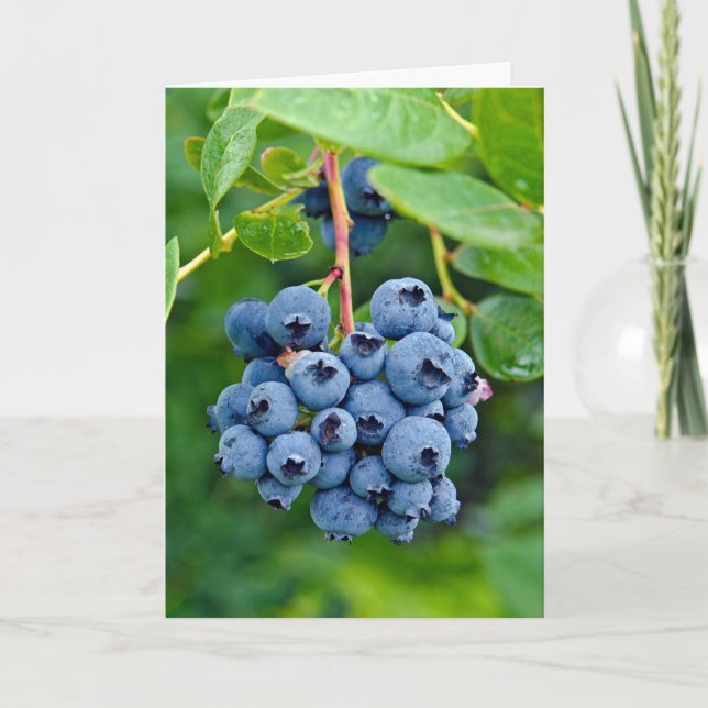 Carte anniversaire aux bleuets (Devant)