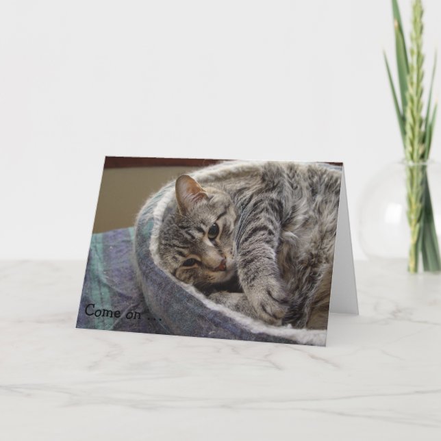 Carte Anniversaire avec chat gris mignon : Venez . (Devant)