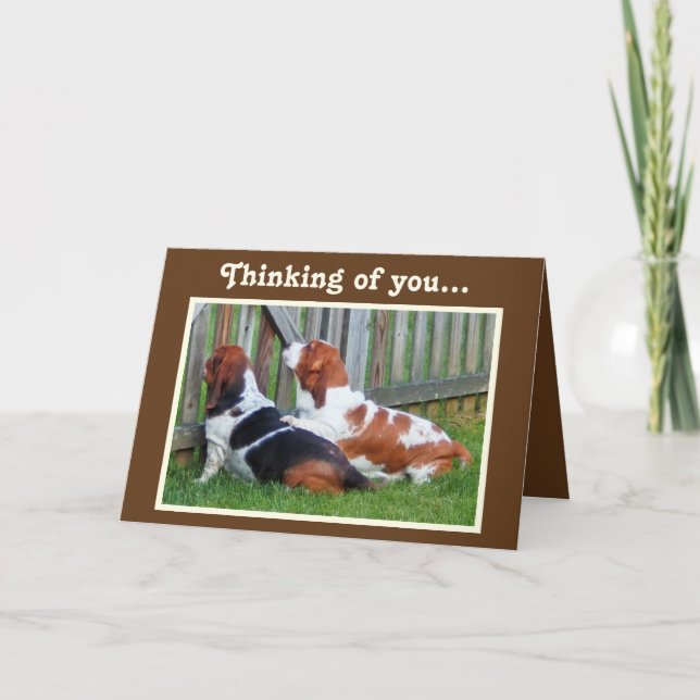 Carte Anniversaire avec Cute Basset Hounds & Cupca (Devant)