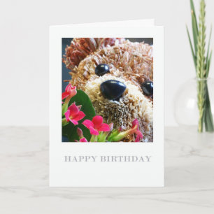 Carte Anniversaire Avec Ours En Teddy Et Fleurs