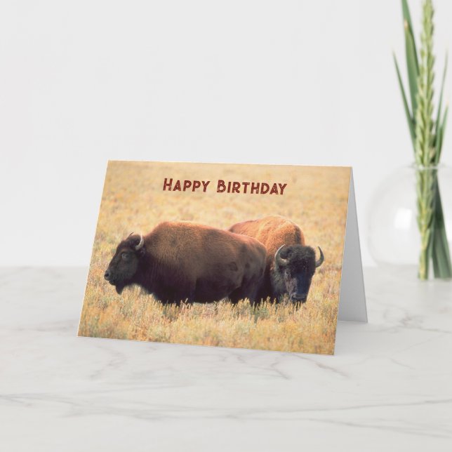 Carte Anniversaire avec une paire de bisons sur la prair (Devant)