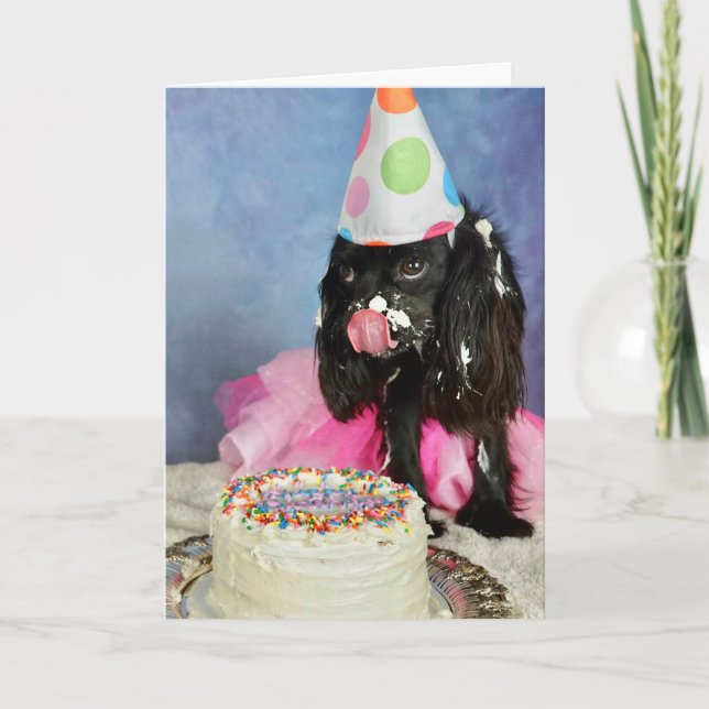 Carte Anniversaire Bash (Devant)