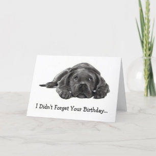 CARTE ANNIVERSAIRE BATTU : N'A PAS OUBLIÉ : TROP FOU, CH
