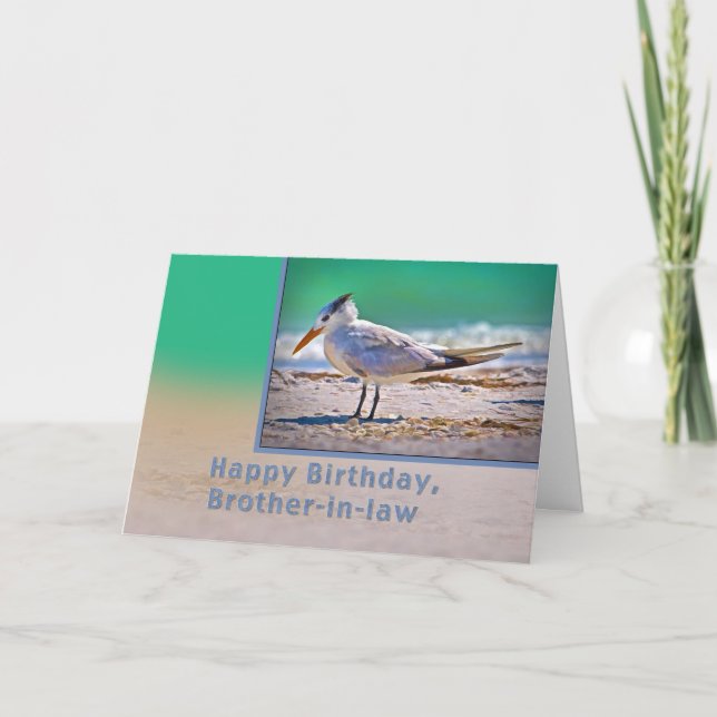 Carte Anniversaire, beau-frère, Royal Tern Bird (Devant)
