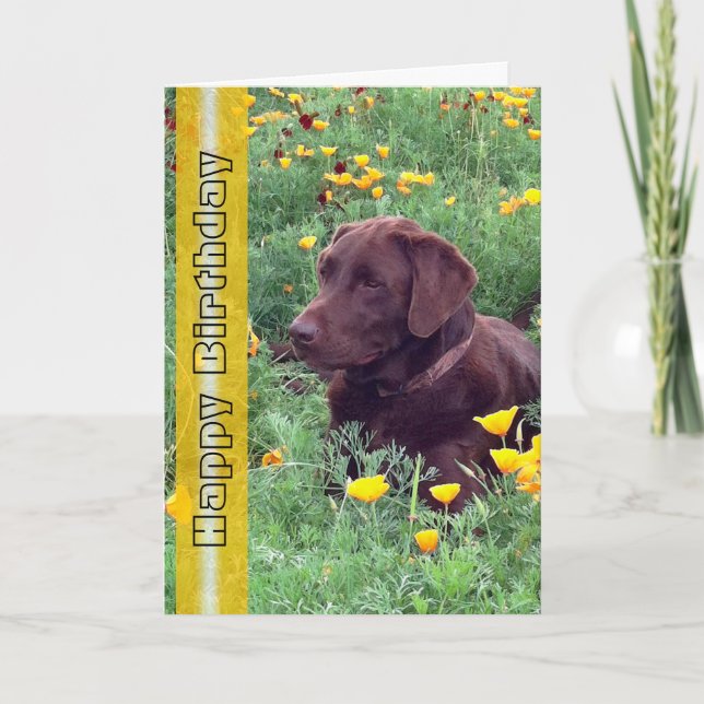 Carte Anniversaire beau Labrador Retriever Chien photo (Devant)
