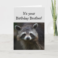Anniversaire BROTHER Fun Age Humour Triste Raccoon