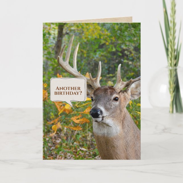 Carte Anniversaire Buck In Woods (Devant)