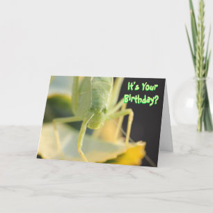 Carte Anniversaire—"Bug You" Funny Carte Anniversa