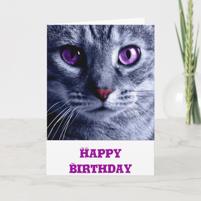 Carte Anniversaire : Carte Chat Anniversaire (Devant)