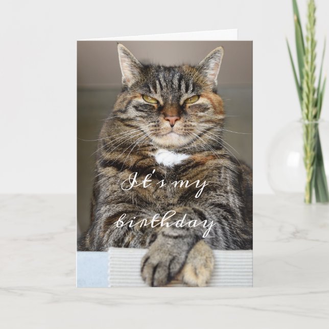 Carte Anniversaire Chat Drôle Tabby Grumpy Green Eyes Sq (Devant)
