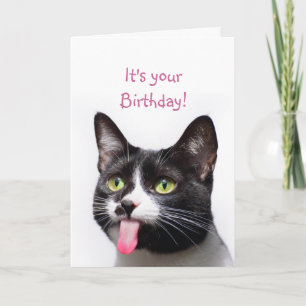Carte Anniversaire Chat Sticking out Langue Drôle Humour