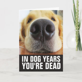 CARTE ANNIVERSAIRE CHIEN, EN ANNÉES DE CHIEN VOUS ÊTES M