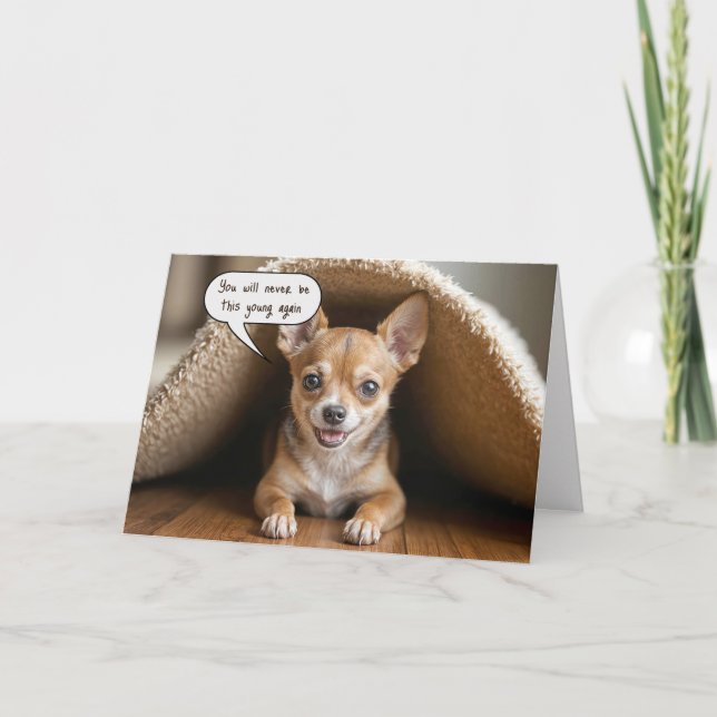 Carte Anniversaire Chihuahua Chig sous un tapis (Devant)