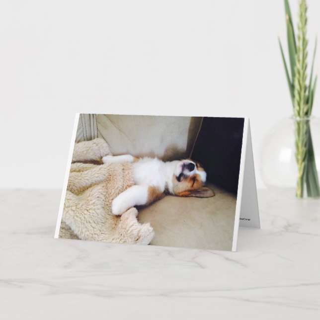 Carte Anniversaire - Chiot Corgi couché (Devant)