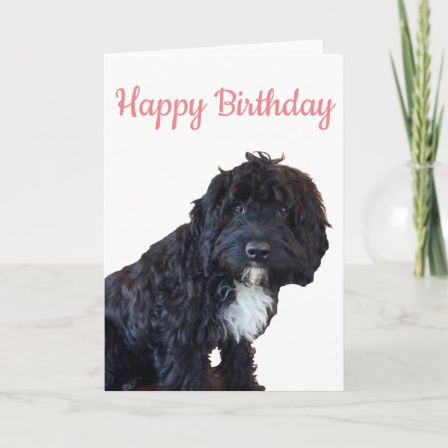 Carte Anniversaire - Cockapoo Puppy Grey Card (Devant)