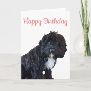 Carte Anniversaire - Cockapoo Puppy Grey Card