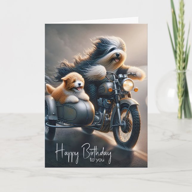 Carte Anniversaire Collie En Moto (Devant)