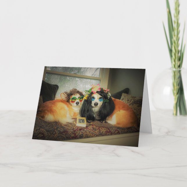 Carte Anniversaire Corgi (Devant)