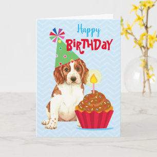 Carte Anniversaire Cupcake Welsh Springer espagnol