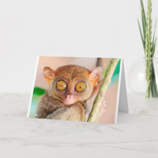 Carte Anniversaire Cute Slow Loris