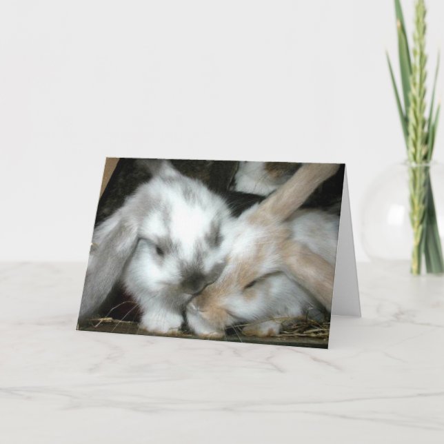 Carte Anniversaire d'amour de lapin (Devant)