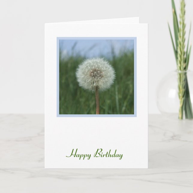 Carte Anniversaire Dandelion (Devant)