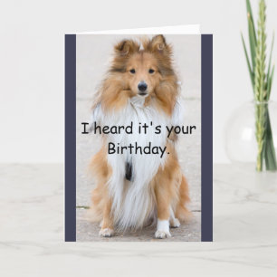 Carte Anniversaire d'années de chien joyeux