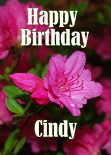 Jppngmuryosrt8h 70以上 Bon Anniversaire Cindy Humour Joyeux Anniversaire Cindy Humour