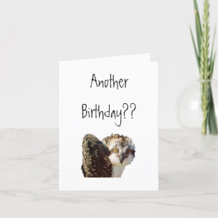Carte Anniversaire de balbuzard