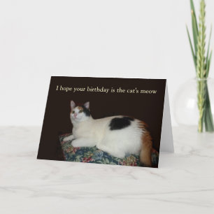 Carte Anniversaire de Calico Cat