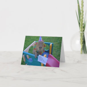 Carte Anniversaire de Capy de Caplin Rous