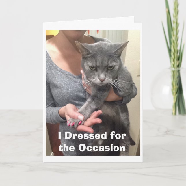 Carte Anniversaire de Chat en Colère (Devant)
