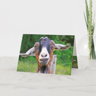 Carte Anniversaire de chèvre drôle