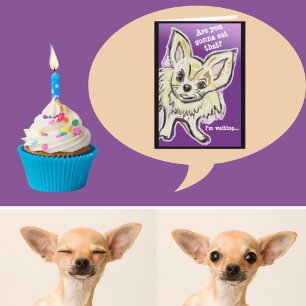 Carte anniversaire de chien drôle