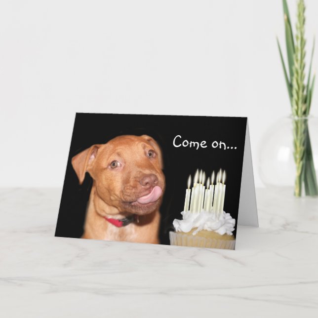 Carte anniversaire de chiot Pitbull (Devant)
