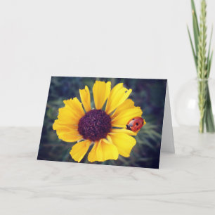 Carte Anniversaire de coccinelle