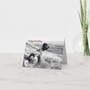 Carte Anniversaire de Cocker Spaniel