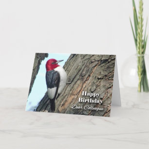 Carte Anniversaire de Colleague, Pic à tête rouge