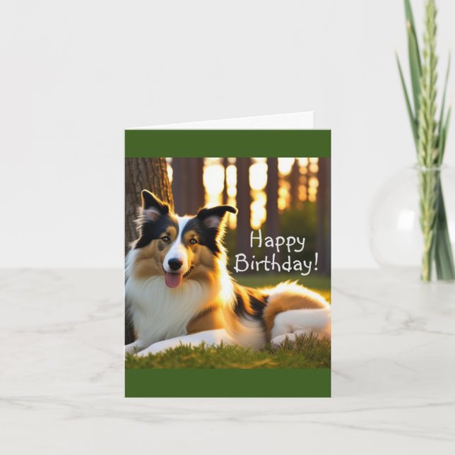 Carte Anniversaire de Collie Dog (Devant)