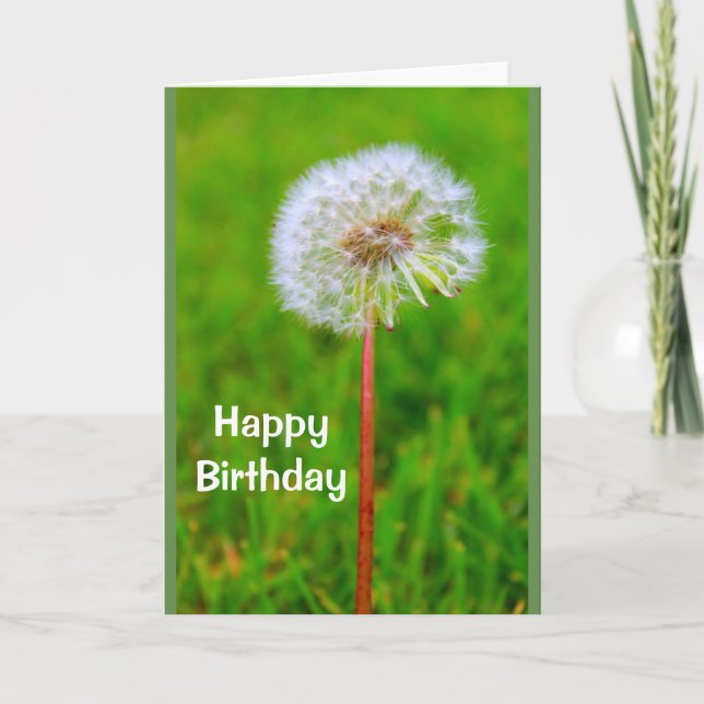 Carte Anniversaire de Dande je ne suis pas lion (Devant)