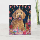 Anniversaire de Goldendoodle
