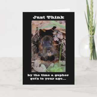 Carte Anniversaire de Gopher