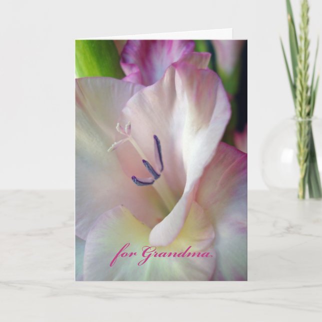 Carte Anniversaire de grand-mère, Gladiolus rose, Macro  (Devant)
